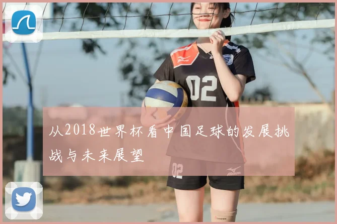 从2018世界杯看中国足球的发展挑战与未来展望