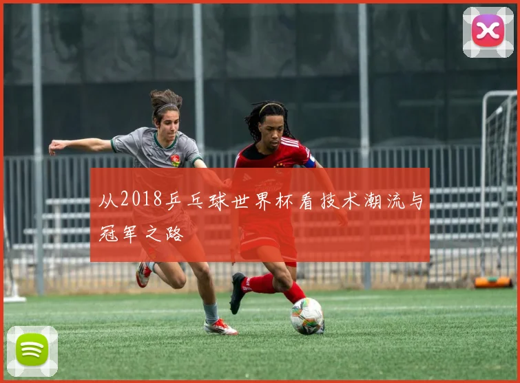 从2018乒乓球世界杯看技术潮流与冠军之路